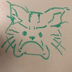 Meet your Posher, N0tsaiint